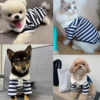 Soft and Breathable Summer Dog Polo Shirt
