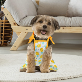Cute Dress-Style Breathable Pet T-Shirt