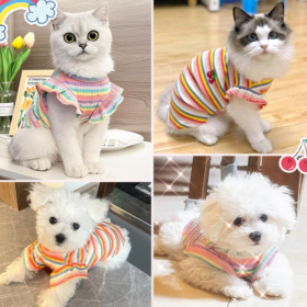 Cute Striped Pure Cotton Breathable Small Dog Vest Set