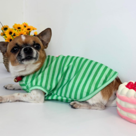Striped Soft Breathable Summer T-Shirt for Small to Medium Dogs