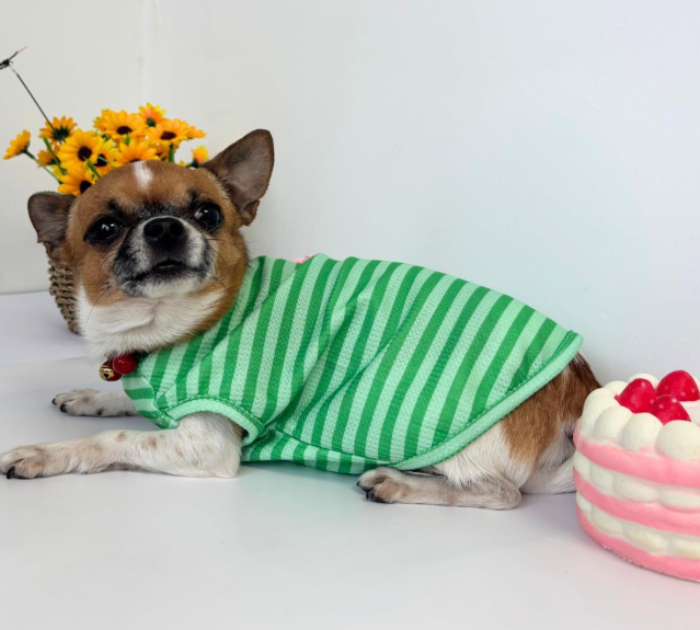 Striped Soft Breathable Summer T-Shirt for Small to Medium Dogs