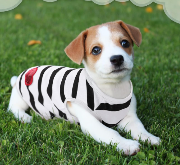 Summer Pure Cotton Striped Pet T-Shirt