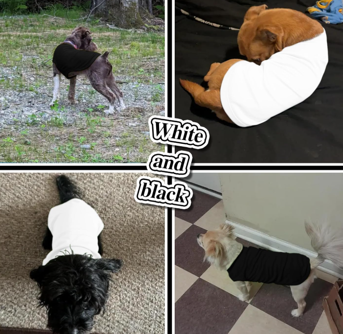 Lightweight Quick-Dry Breathable Stretchy Solid-Color Pet T-Shirt Set - Image 2
