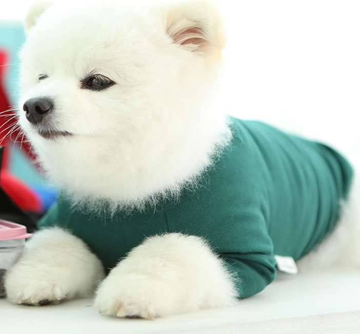 Soft Breathable Pure Cotton Solid-Color T-Shirt for Small Dogs