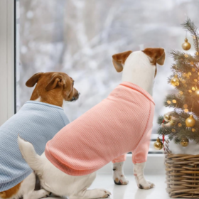 Stretchy Lightweight Soft Breathable Striped Pet T-Shirt Set