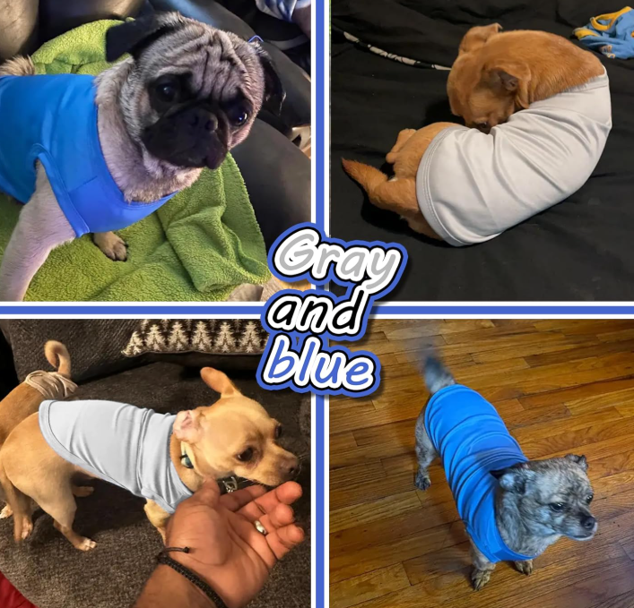 Lightweight Quick-Dry Breathable Stretchy Solid-Color Pet T-Shirt Set - Image 2