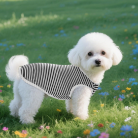 Summer Sleeveless Striped/Solid-Color Cat & Dog Vest 3-Piece Set