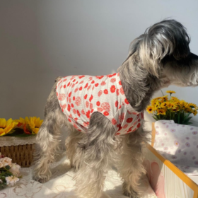 Summer Pure Cotton Daisy-Print Dog T-Shirt (2-Piece Set)