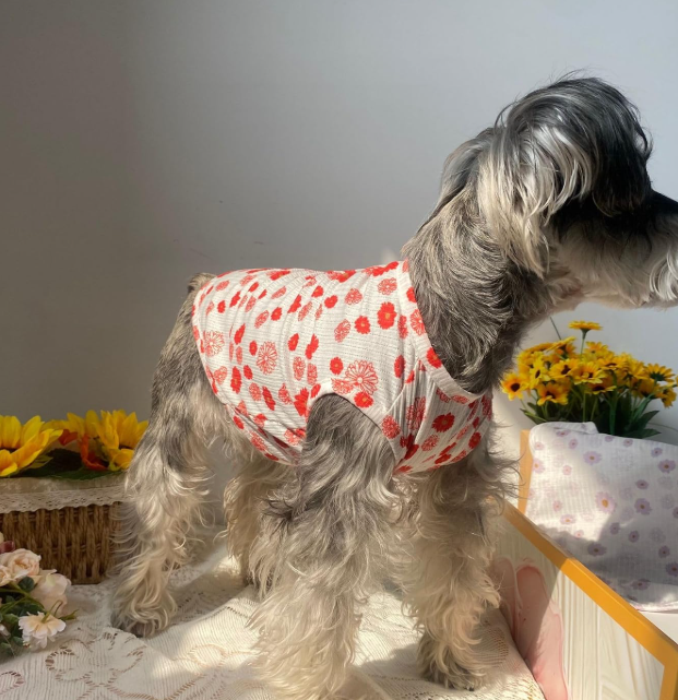 Summer Pure Cotton Daisy-Print Dog T-Shirt (2-Piece Set)