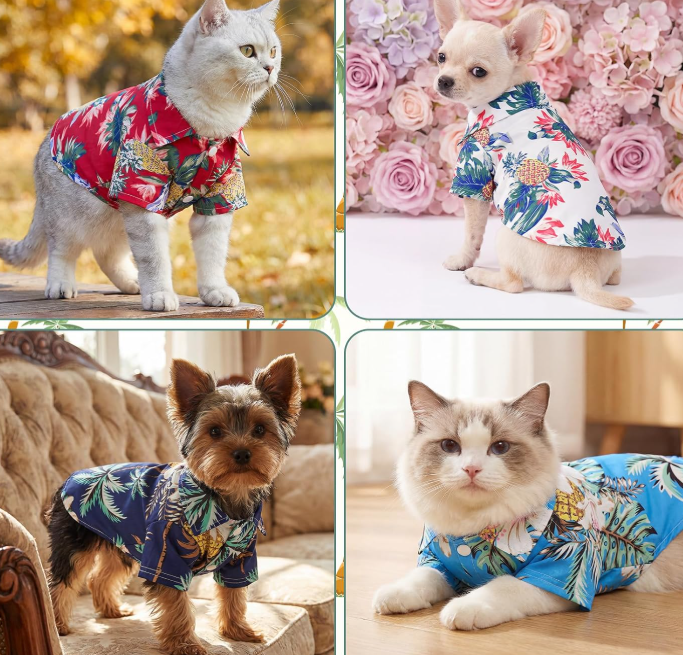 Summer Dog Shirt 4-Piece Set - Image 2