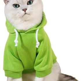 Warm Hooded Sweatshirt For Puppies And Kittens