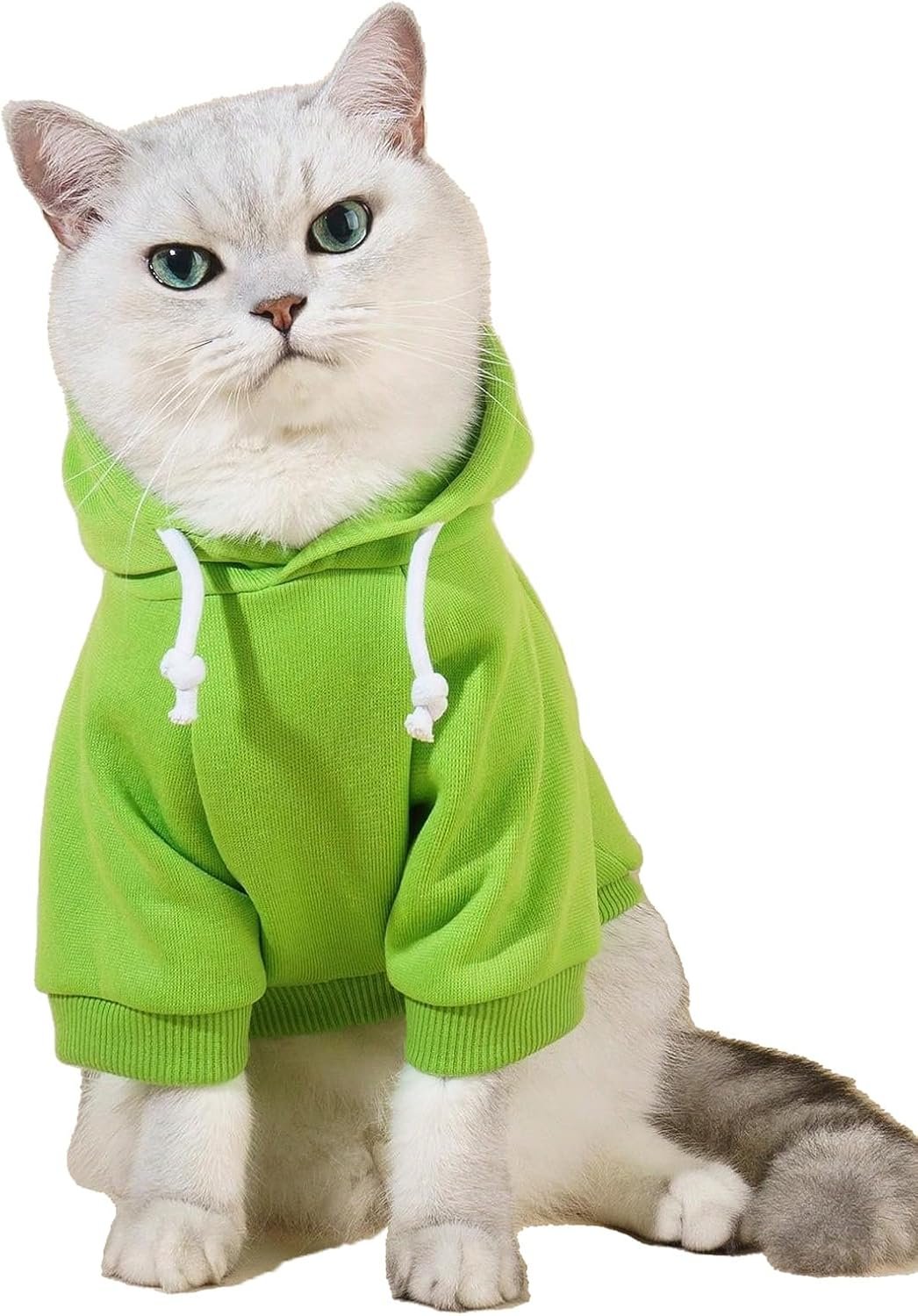 Warm Hooded Sweatshirt For Puppies And Kittens