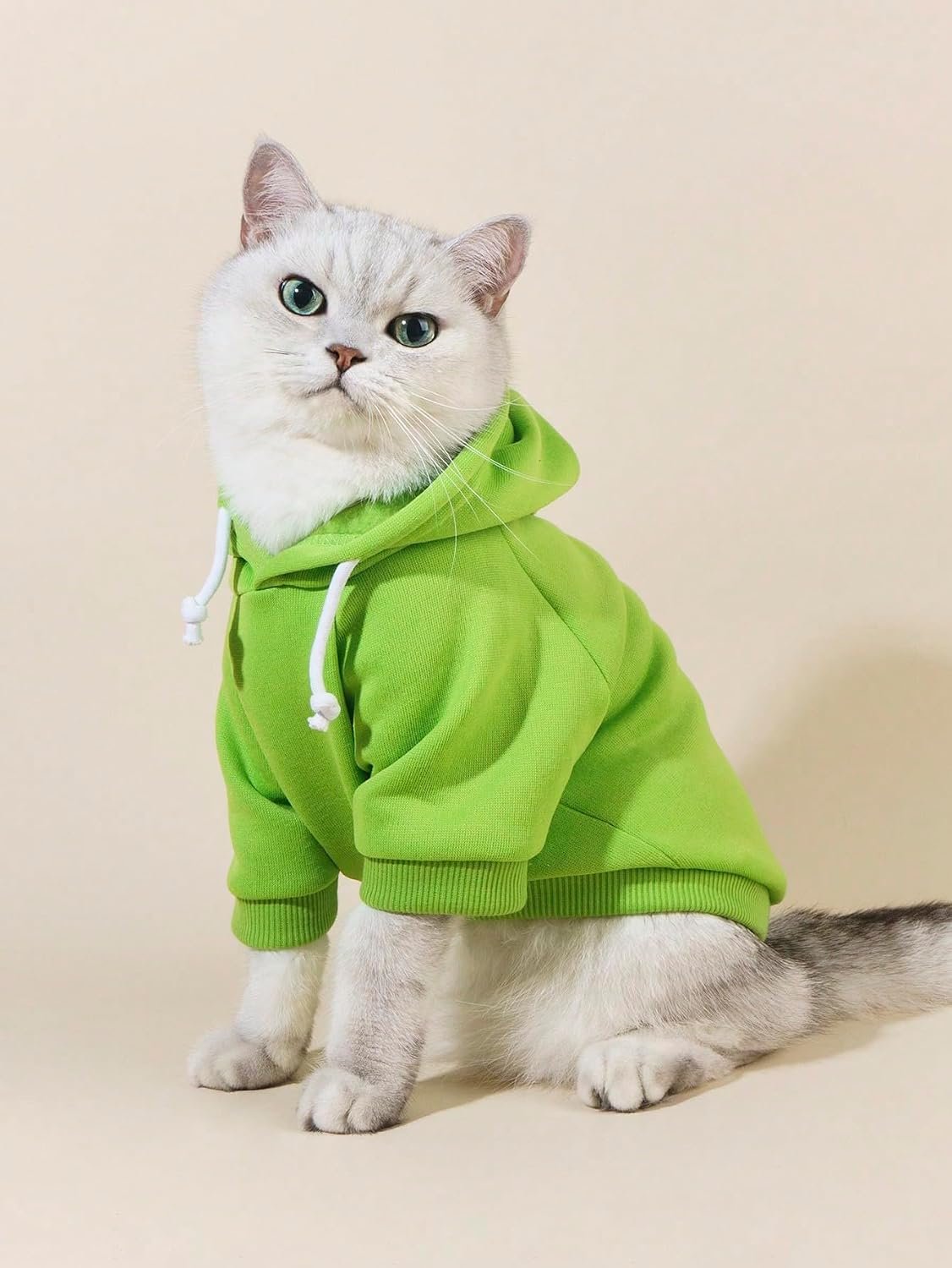 Warm Hooded Sweatshirt For Puppies And Kittens - Image 2