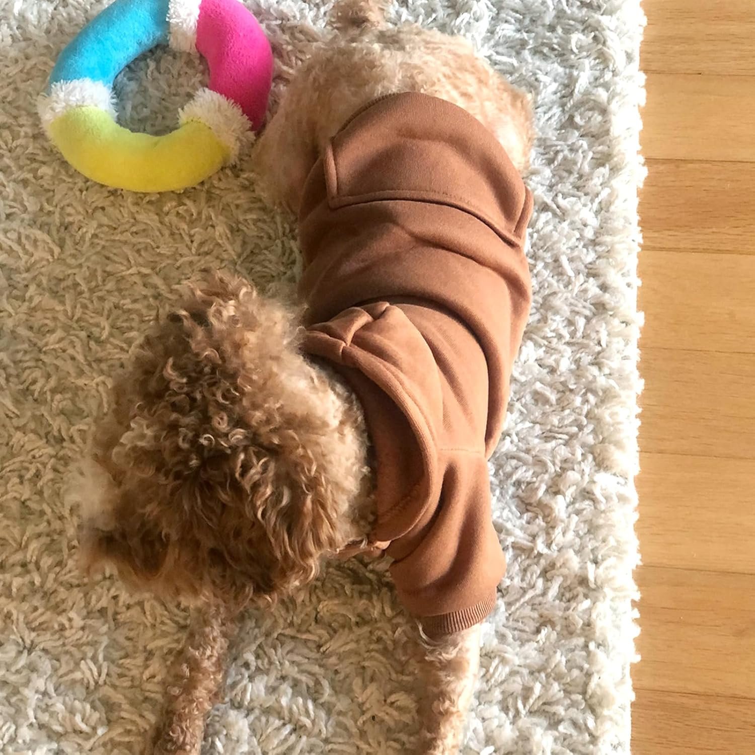 Warm Hooded Winter Dog Outfit With Pockets - Image 2