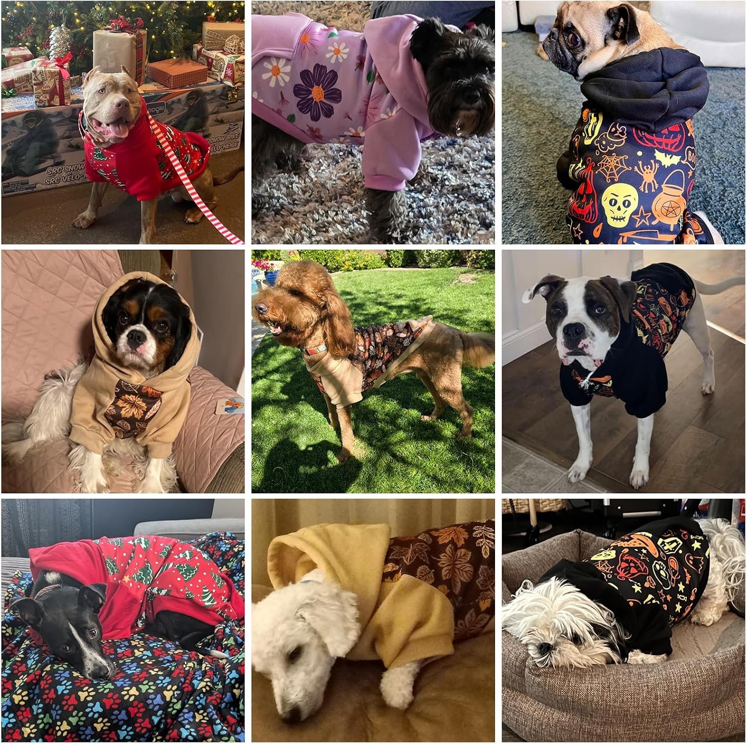 Warm Fleece-Lined Hooded Pet Sweatshirt With Floral Print And Pockets - Image 2