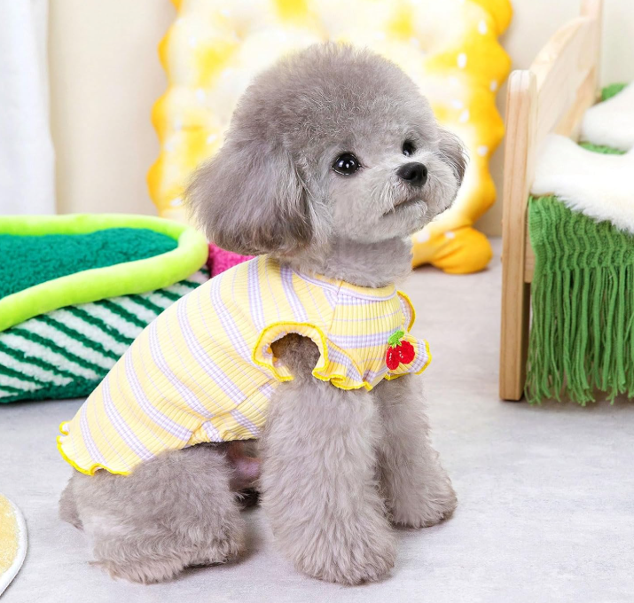 Striped Sleeveless Cute Cherry-Print Dog Vest Set